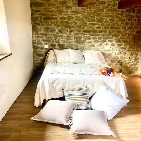 Bio Agriturismo Alba Etrusca Di Cortona - Organic Farmhouse- Appartamento Lavanda-Appartamento Rosmarino - Vasca Idromassaggio Esterna Poggioni エクステリア 写真